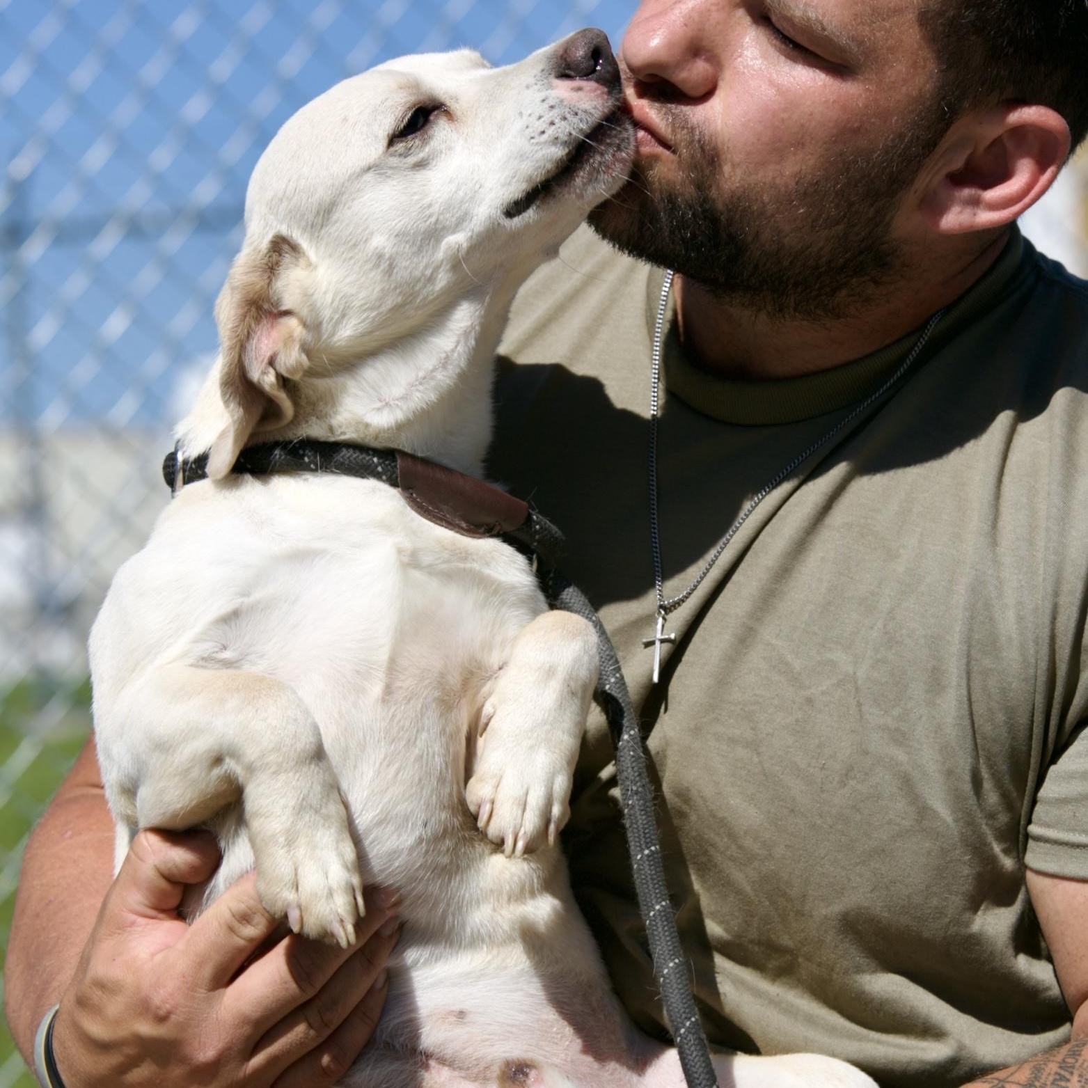 Enlarge Snow, a ADOPTABLE mixed breed in Mount Sterling, KY image 3/3