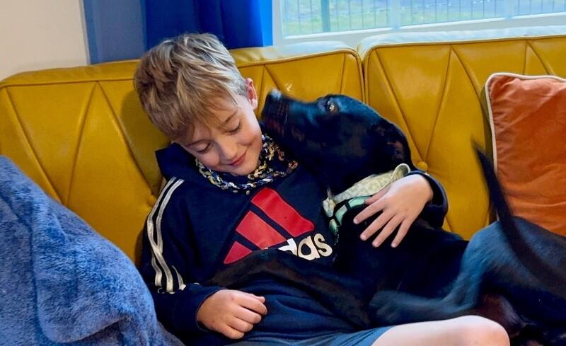 Zazoo Silly Sidekick — thumbnail 4