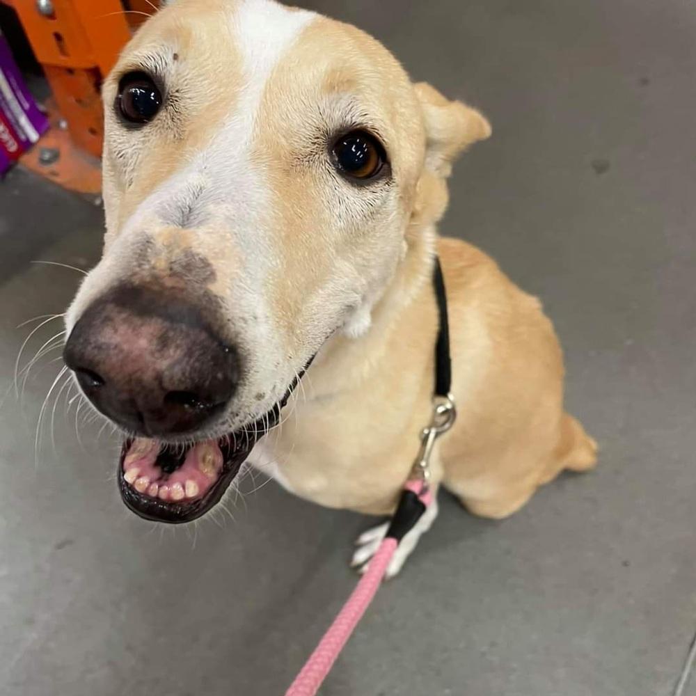 Tinkerbell thumbnail 2