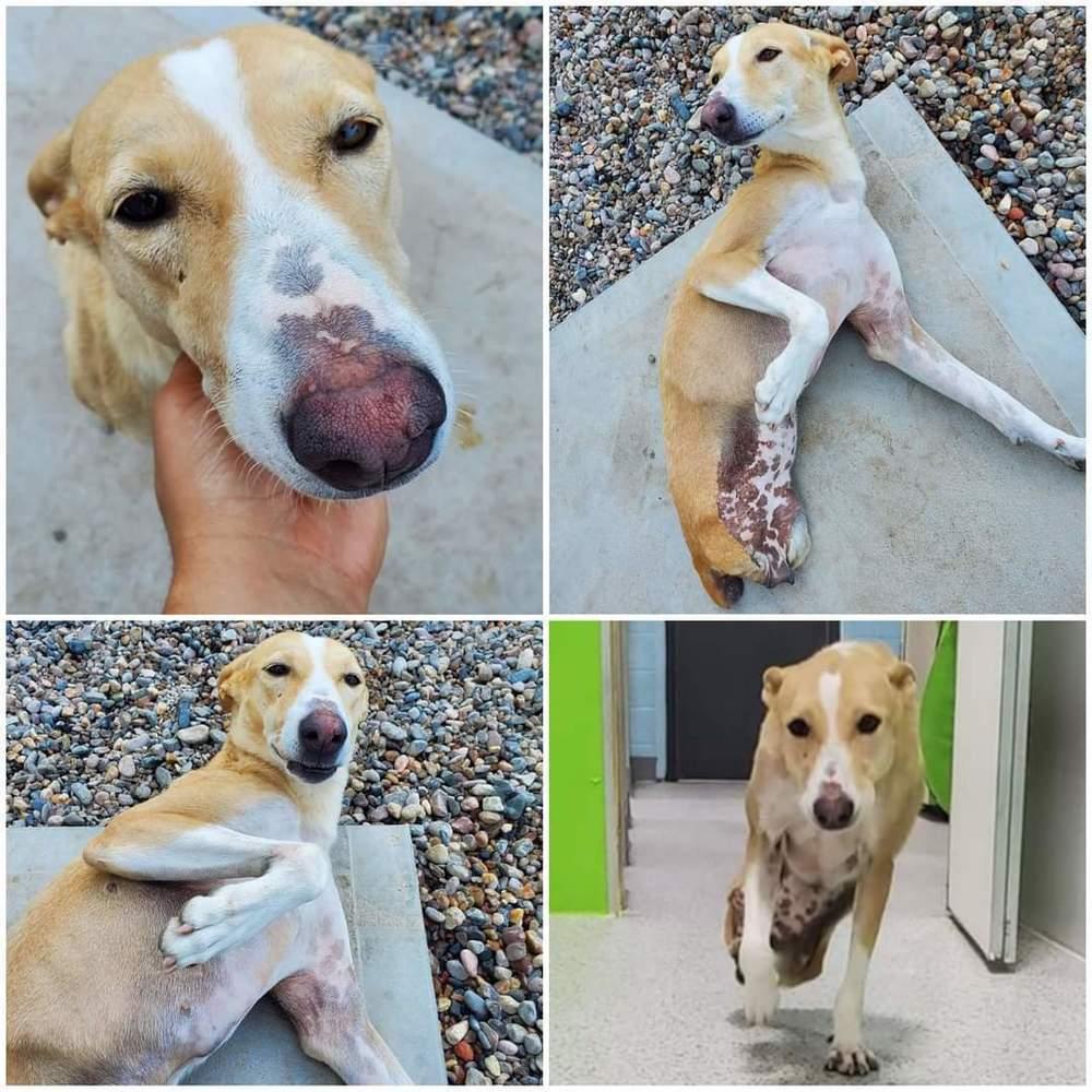 Tinkerbell thumbnail 3