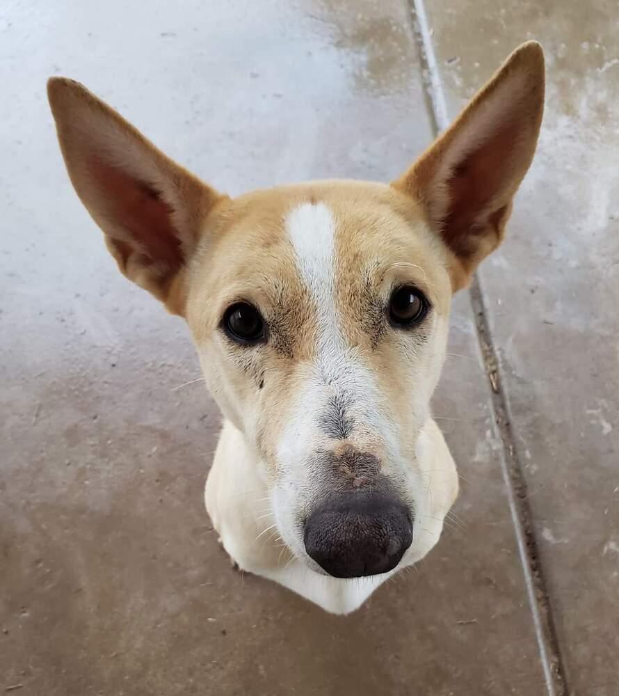 Tinkerbell thumbnail 4