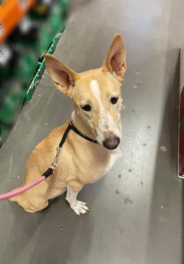 Tinkerbell thumbnail 7