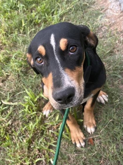 Wednesday thumbnail 2