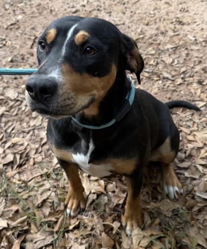 Wednesday thumbnail 3