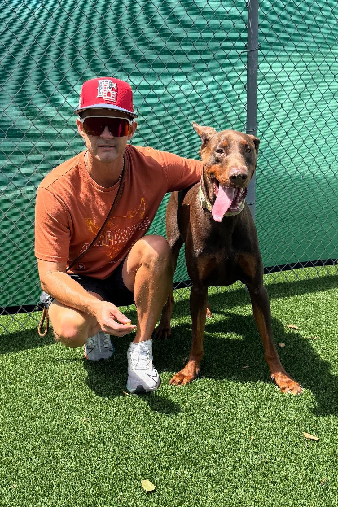 Enlarge Hermes 3549, a Adoptable Doberman Pinscher in Oakland Park, FL image 3/3