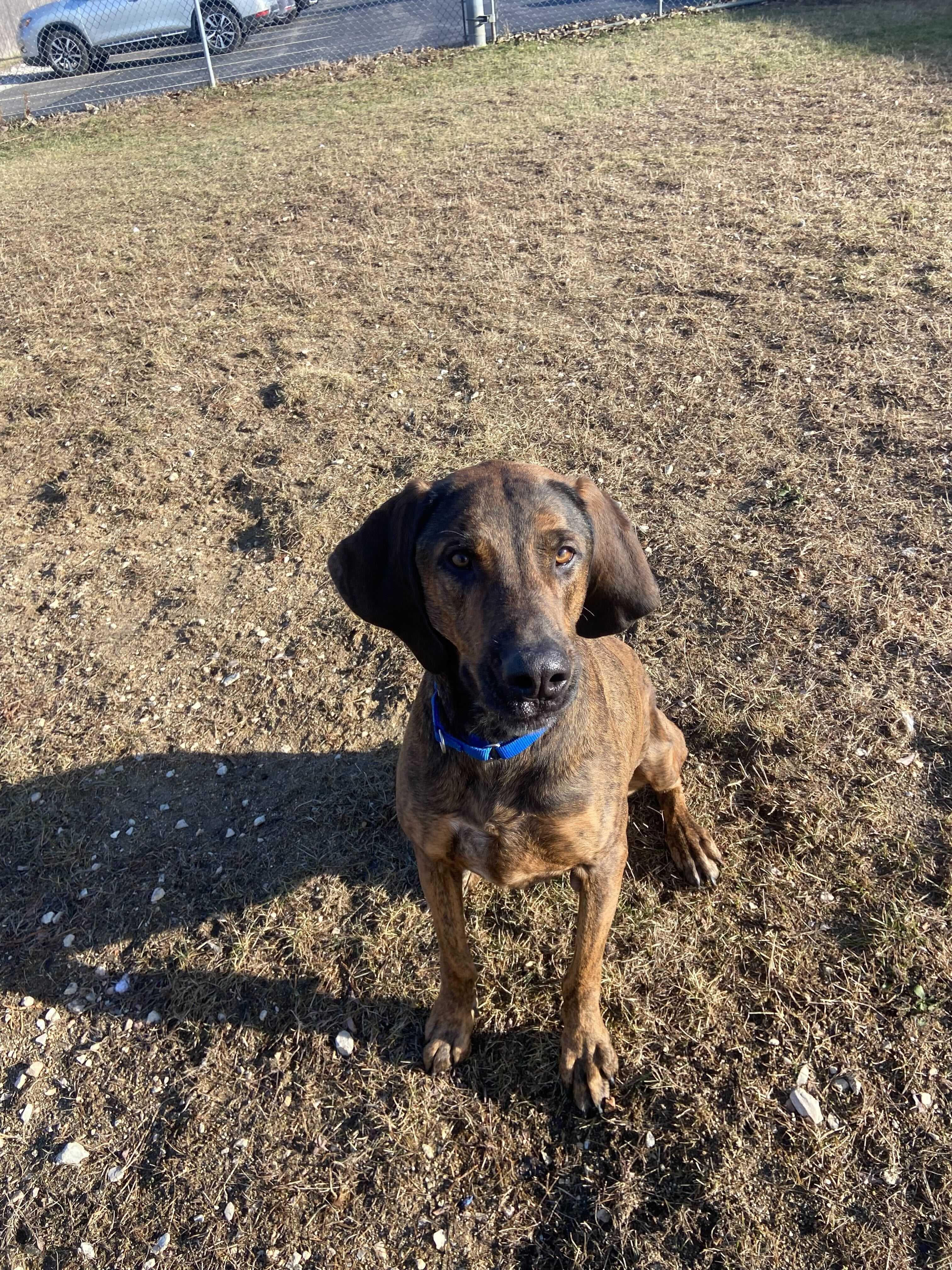 Bubba