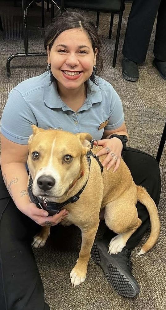 Enlarge Richard, a Adoptable mixed breed in Syracuse, NY image 3/6