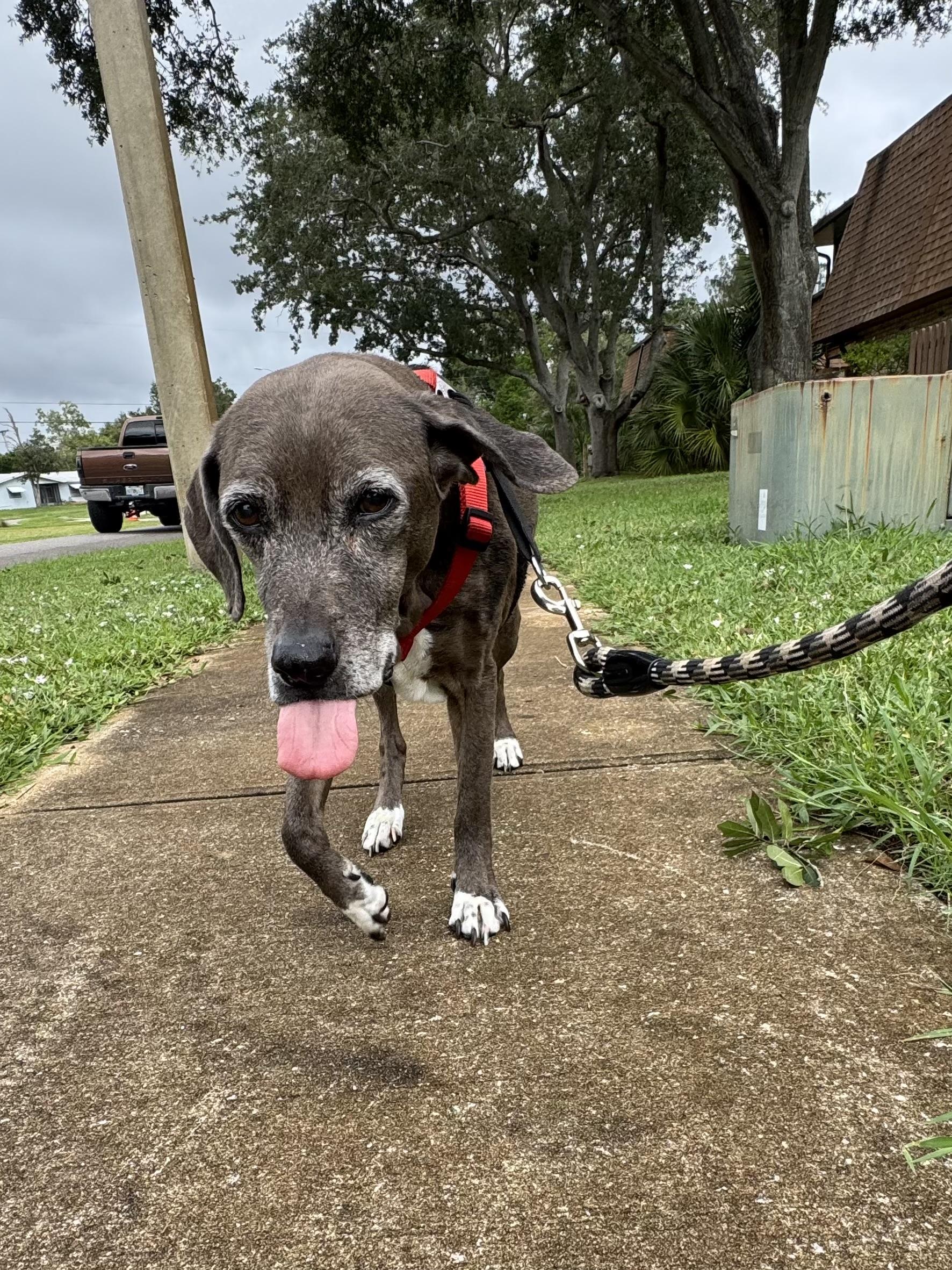 Meagan (mom dying cancer) *Video* (gentle soul)