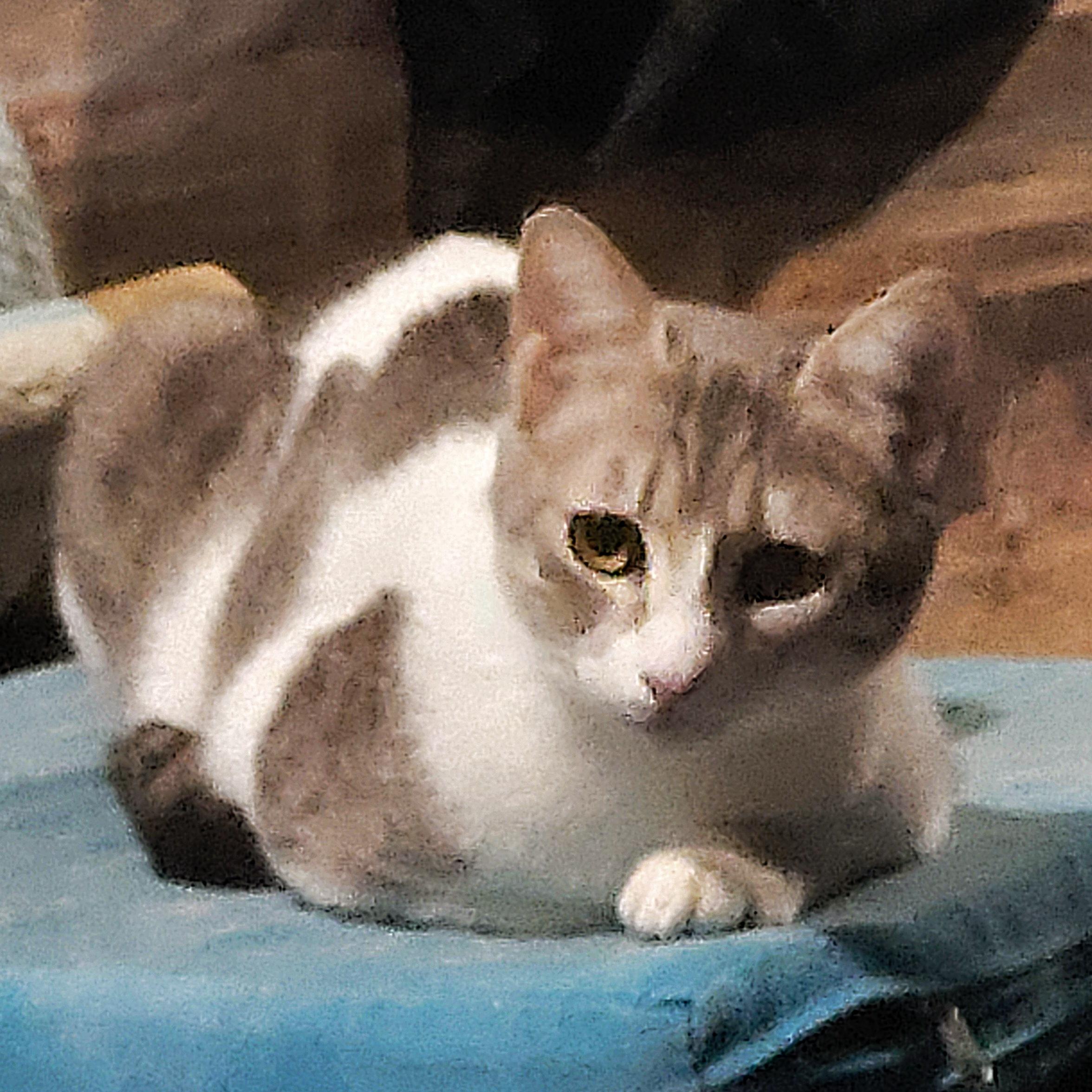 Enlarge Sandy, a Adoptable Domestic Short Hair in Chicago, IL image 2/4