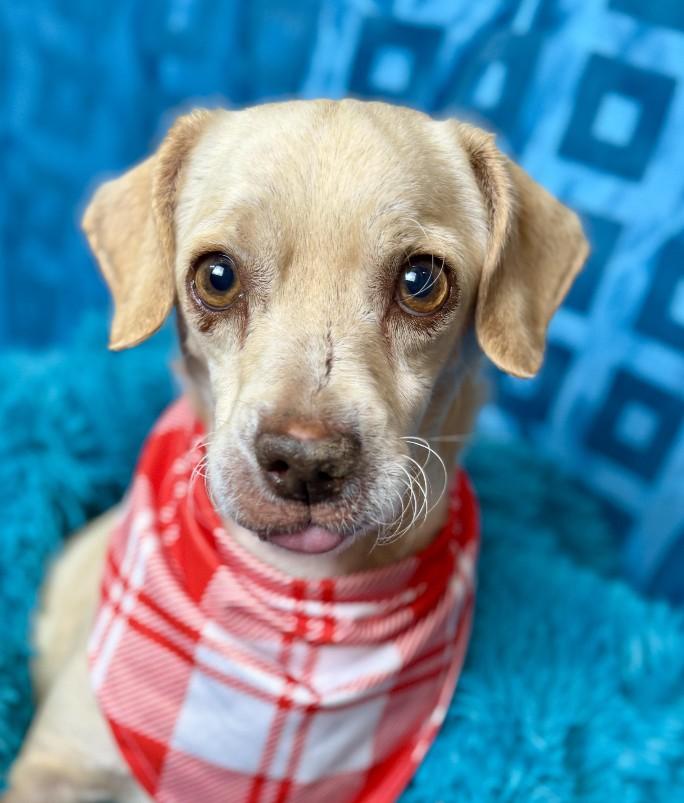Tucker! Walks around with a ball in his mouth, loves people with all his heart!