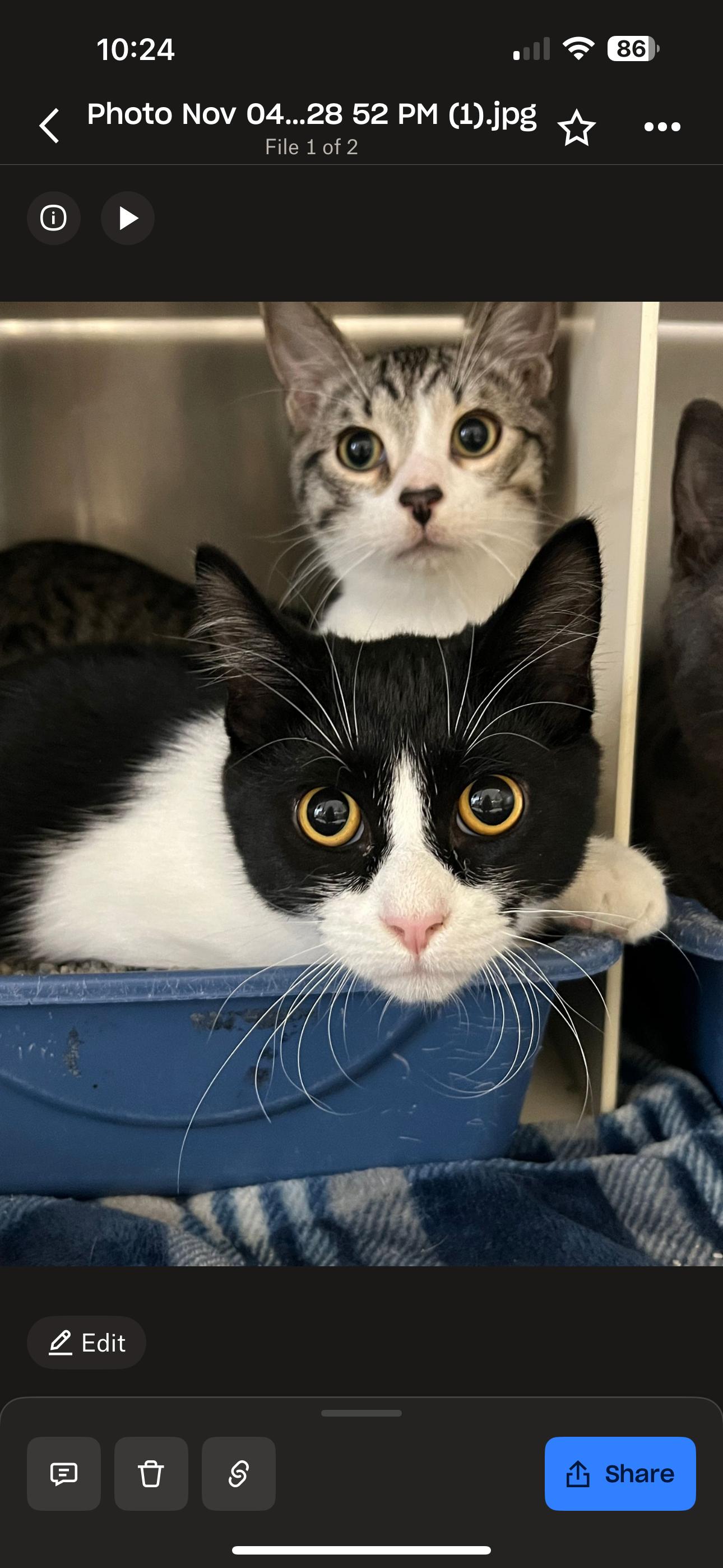 Jambalaya thumbnail 2