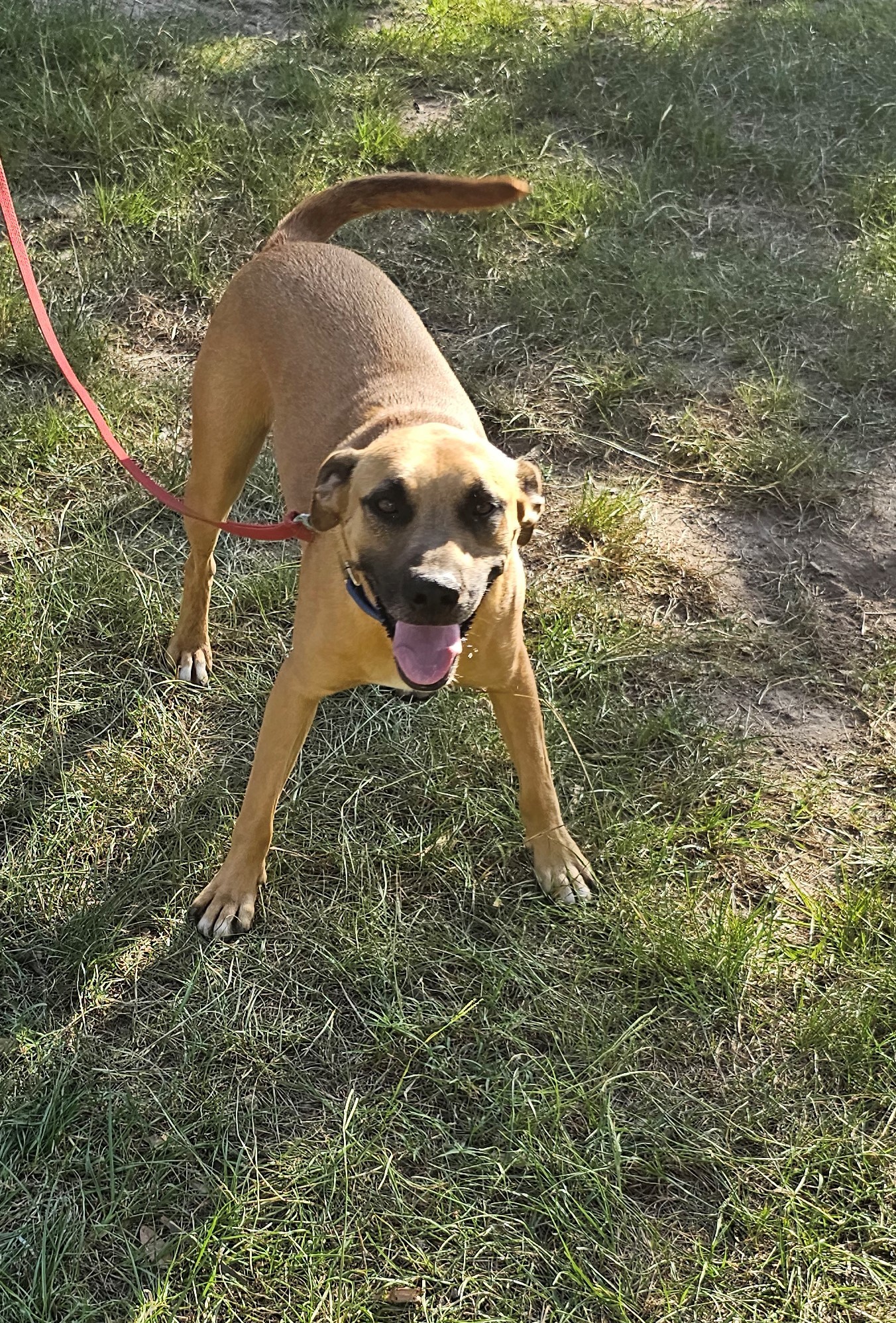 Chauncey photo 1