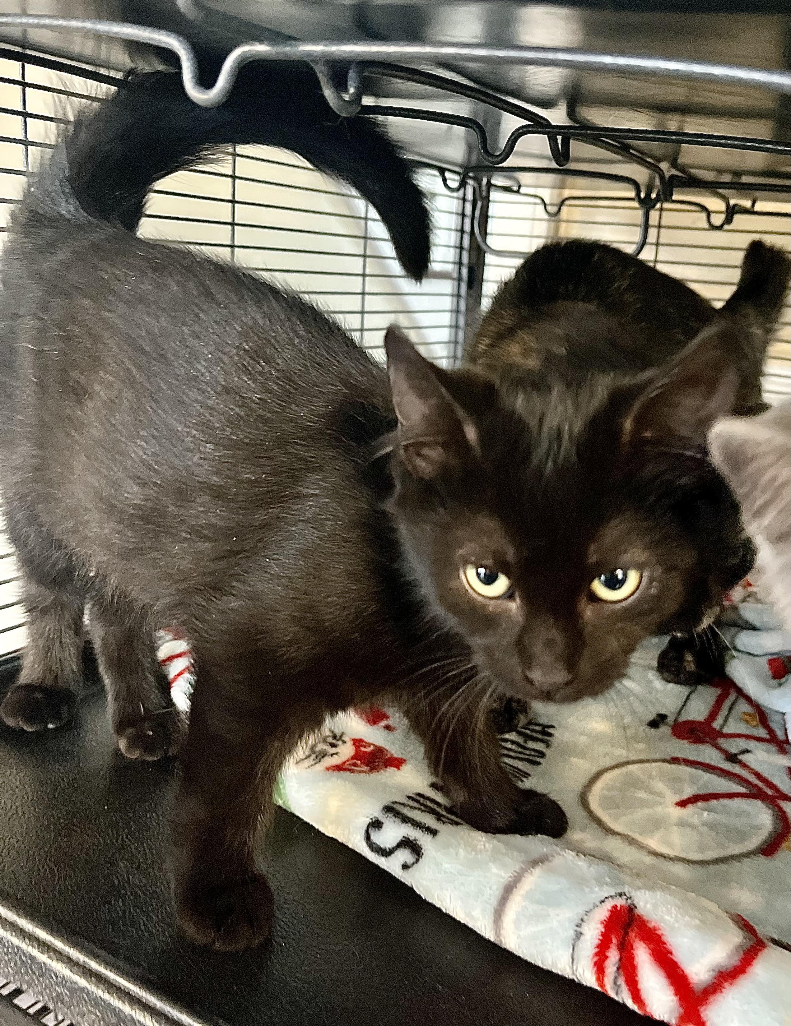 Negative Nancy thumbnail 2