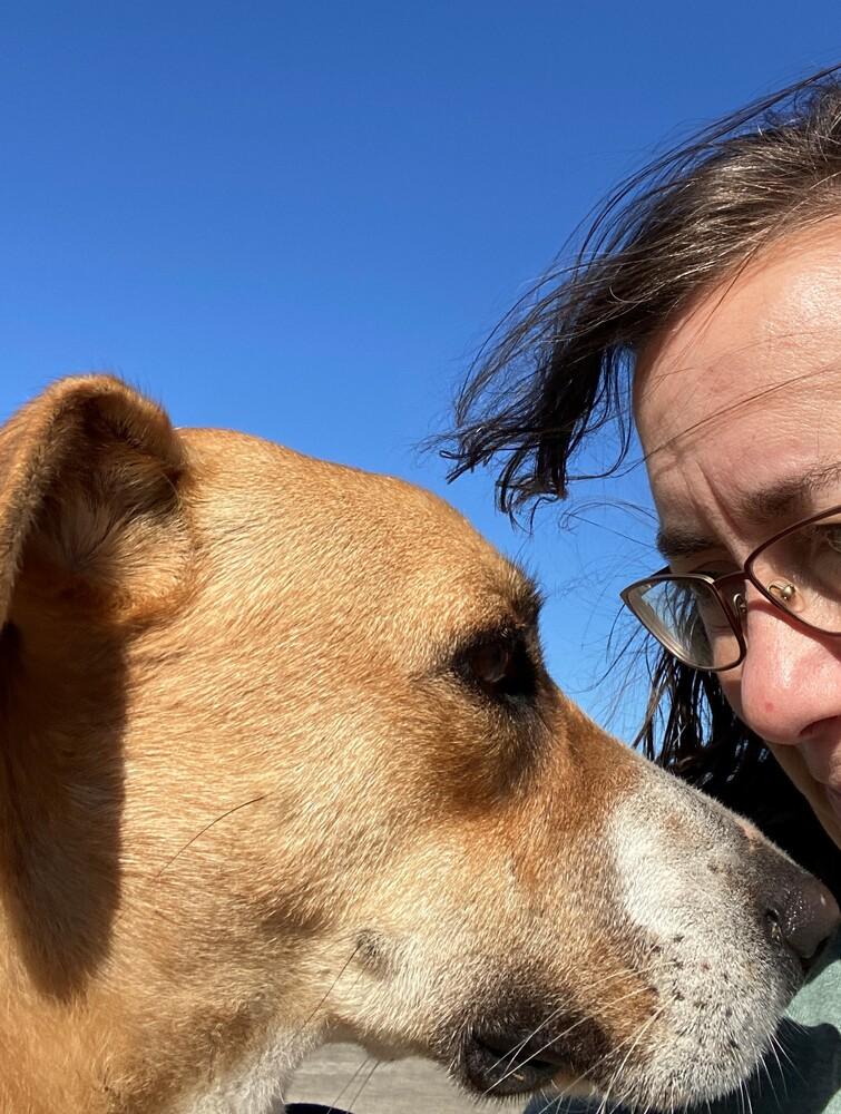 Enlarge Clooney, a Adoptable mixed breed in San Leon, TX image 1/6