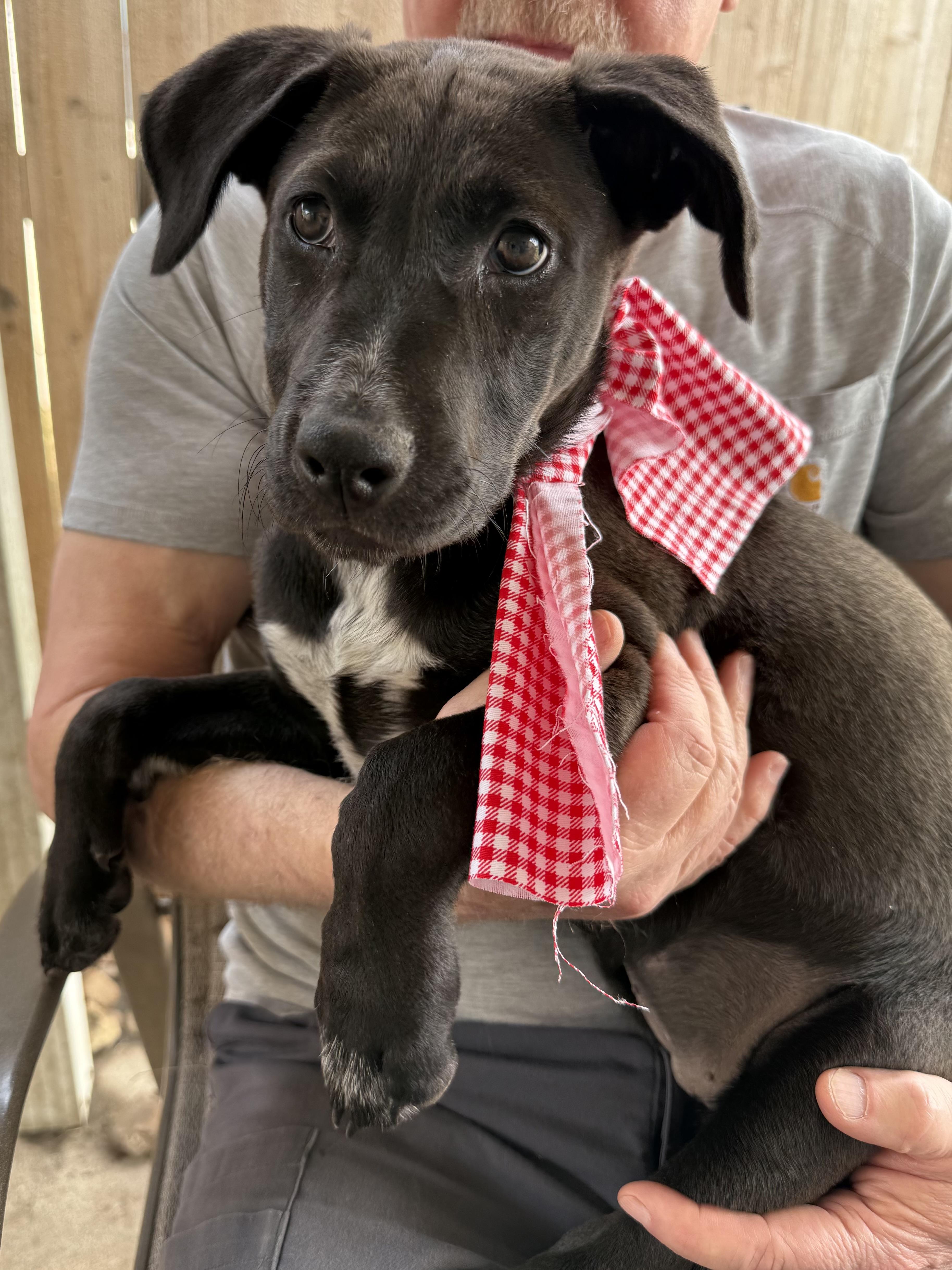 Victoria Valentina — thumbnail 3