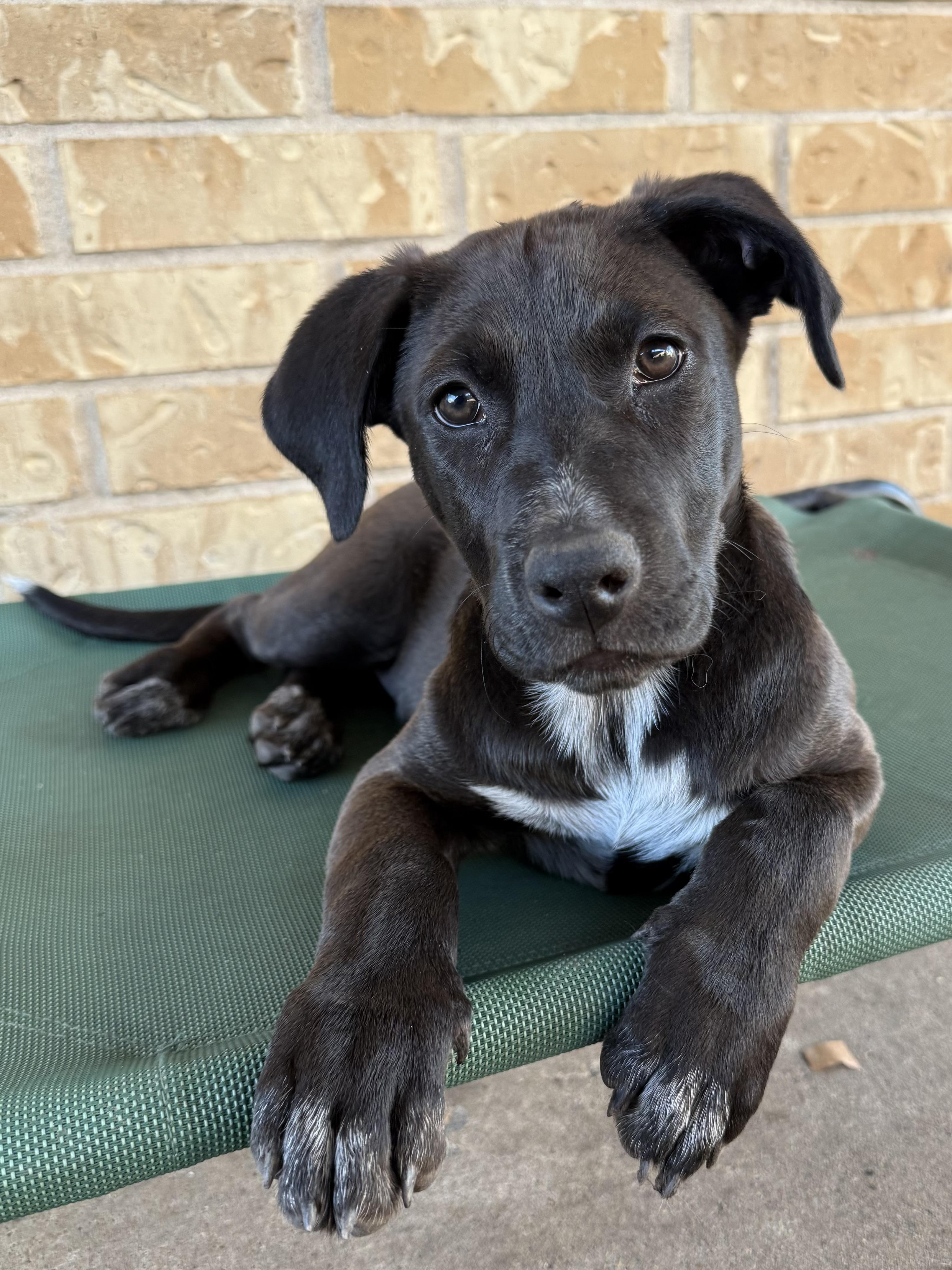 Victoria Valentina — thumbnail 5