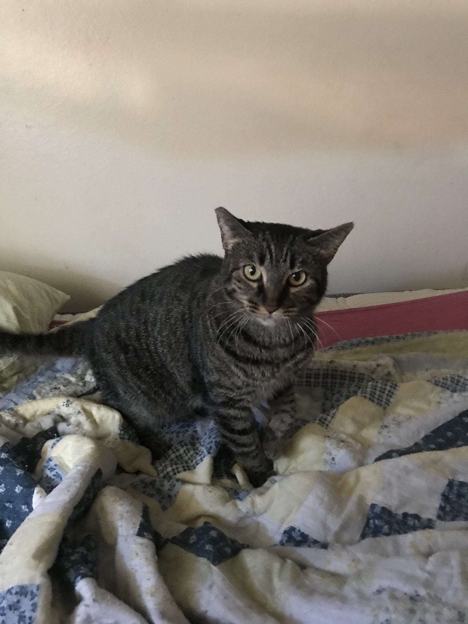 Penny - aka Penny Poo