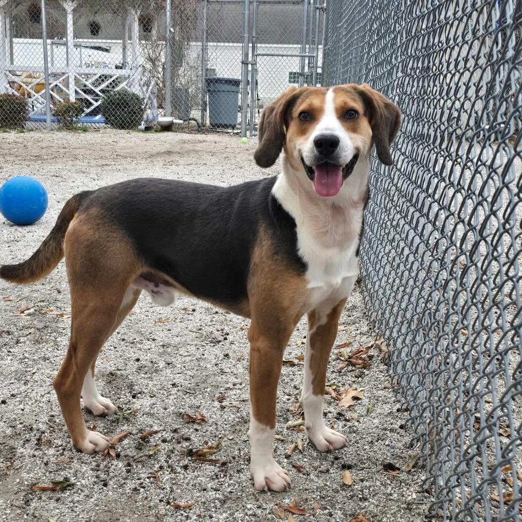 Bagel — thumbnail 2