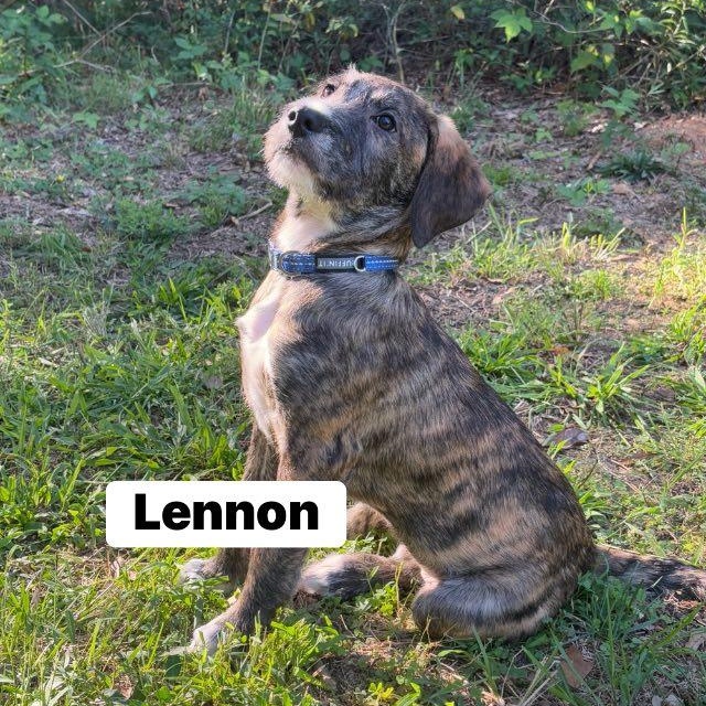 Lennon