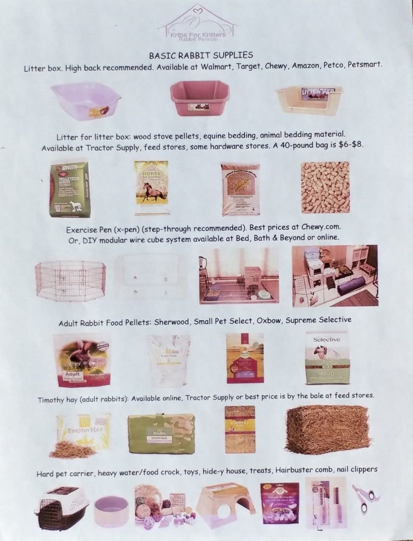 Chantilly, a Adoptable Bunny Rabbit in Lake Elsinore, CA image 3/5