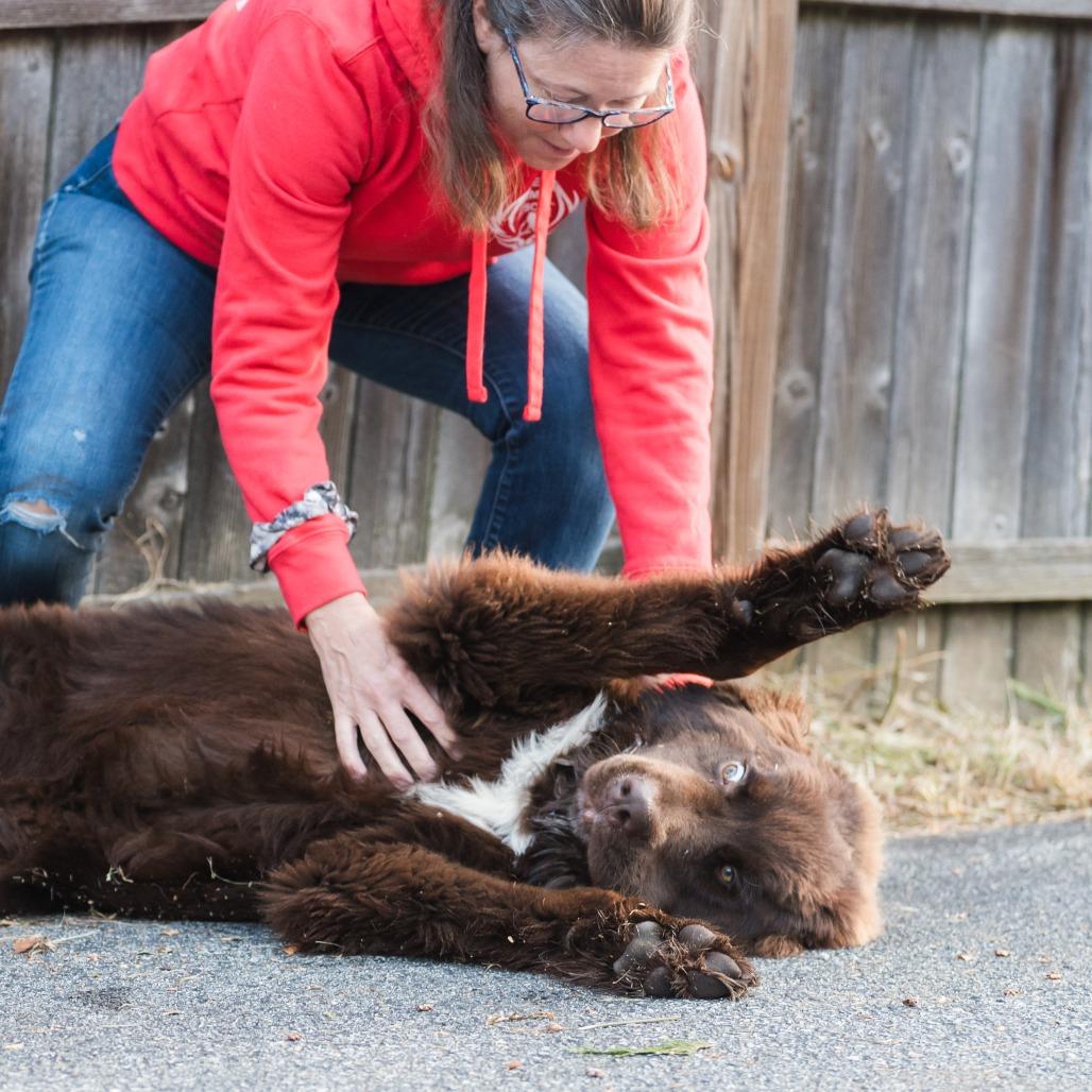 Moosetracks thumbnail 4