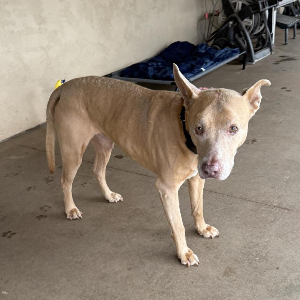 Trigger — thumbnail 2