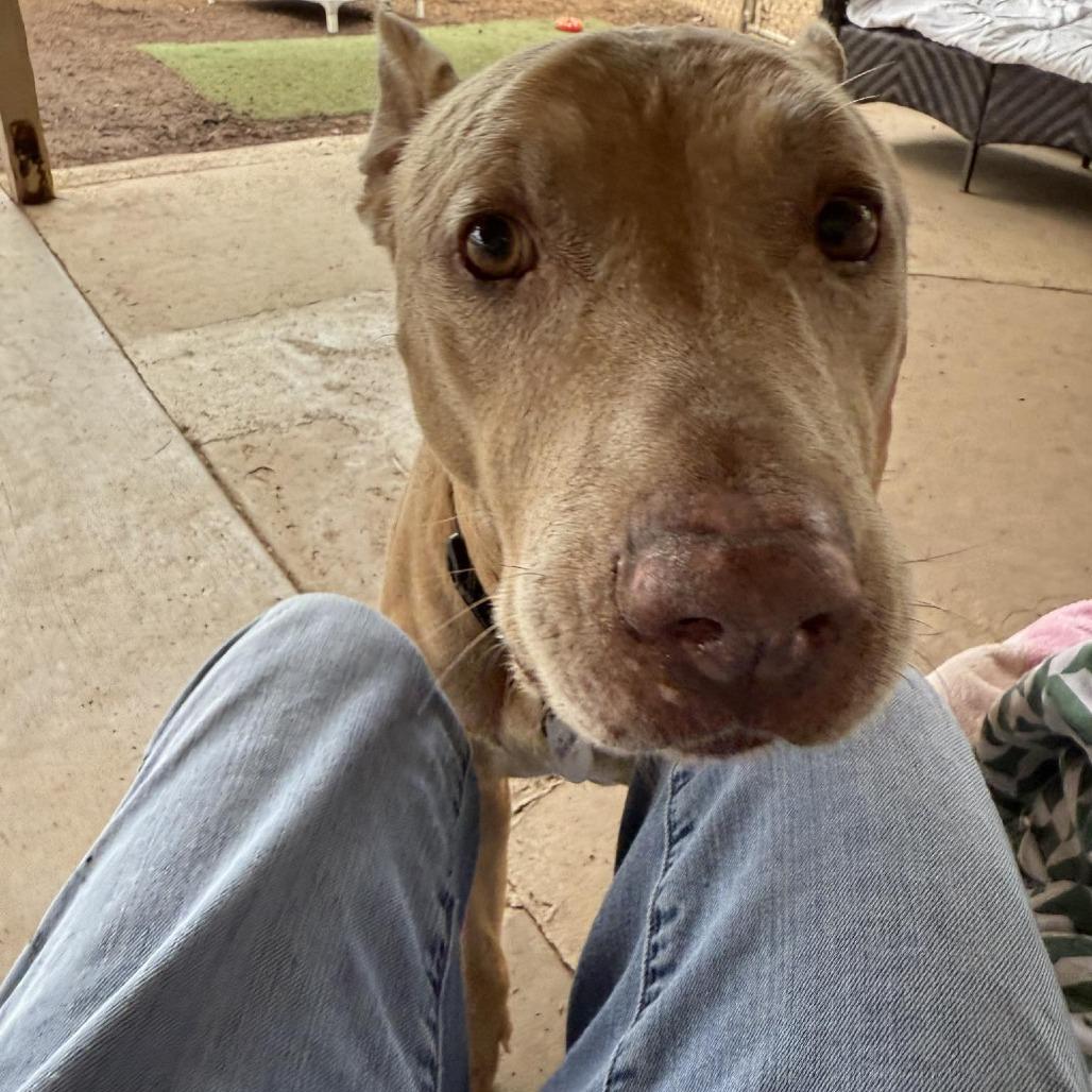 Trigger — thumbnail 3