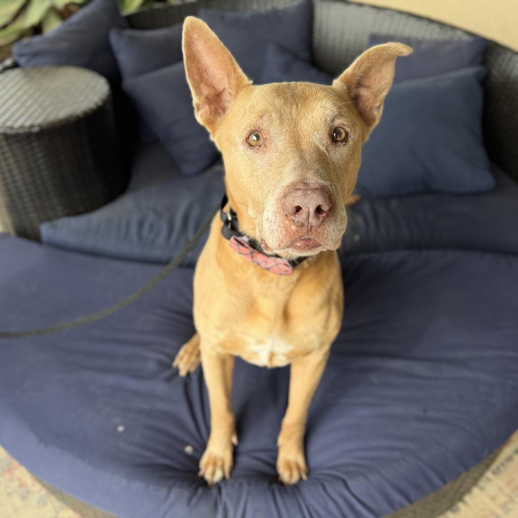 Trigger — thumbnail 5