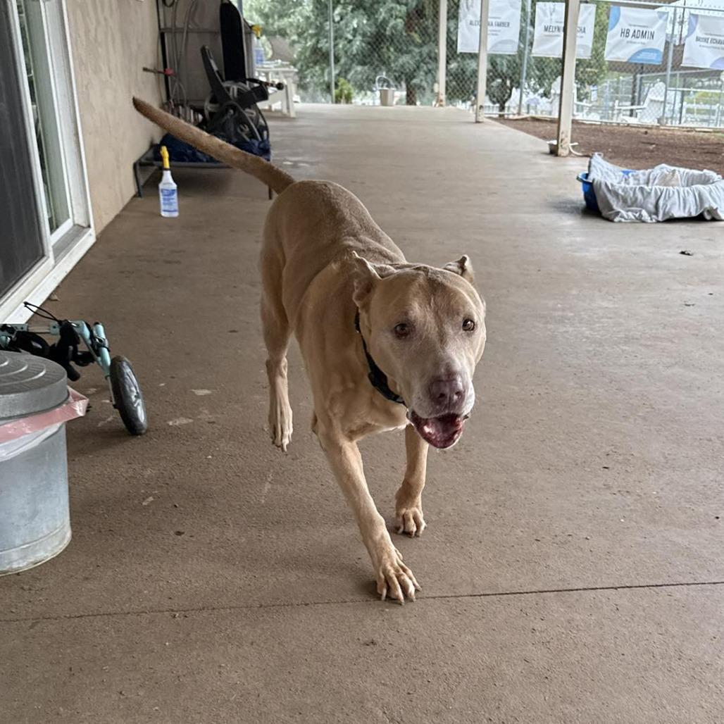 Trigger — thumbnail 6