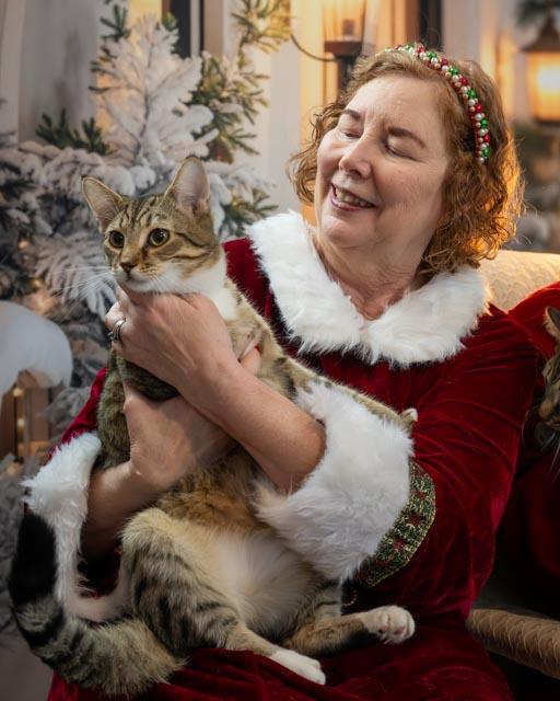 Enlarge Ford, an adoptable Domestic Short Hair in Lapeer, MI image 2/3