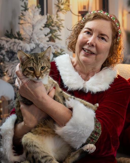 Enlarge Ford, an adoptable Domestic Short Hair in Lapeer, MI image 3/3