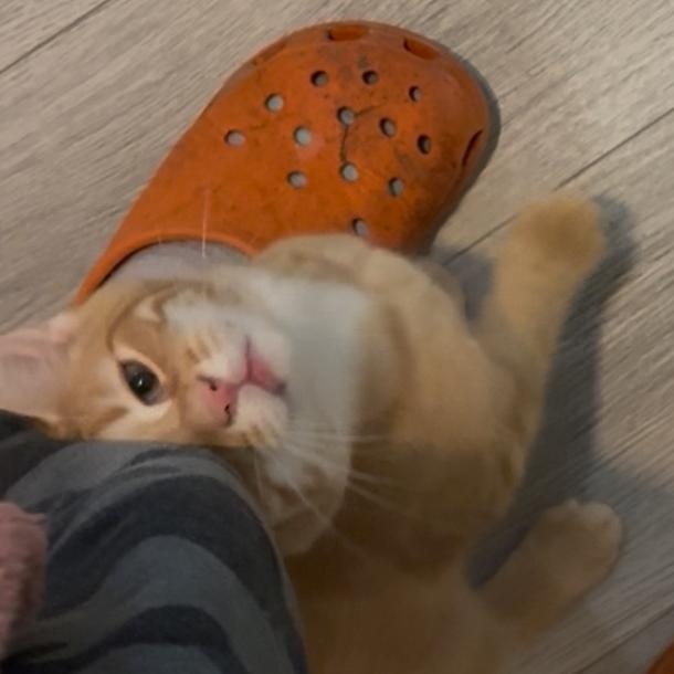 Lucky