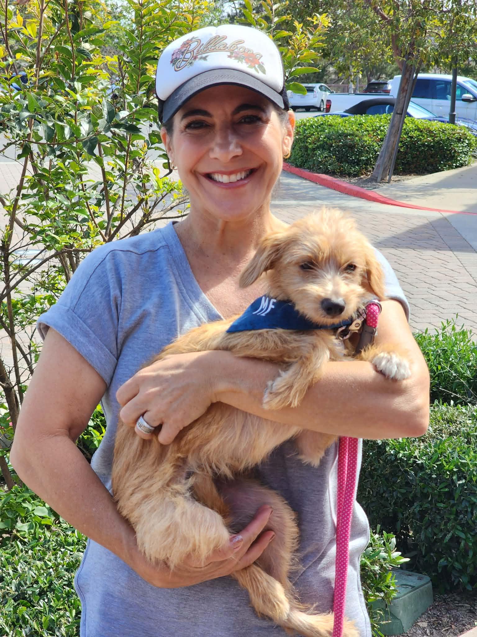 Enlarge Noodle, a ADOPTABLE mixed breed in Corona Del Mar, CA image 3/3