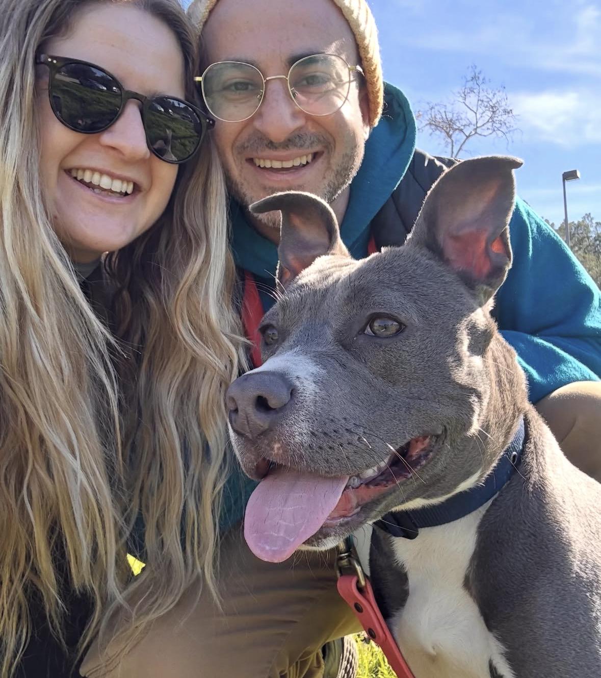 Enlarge Tova, a Adoptable mixed breed in Pasadena, CA image 6/6