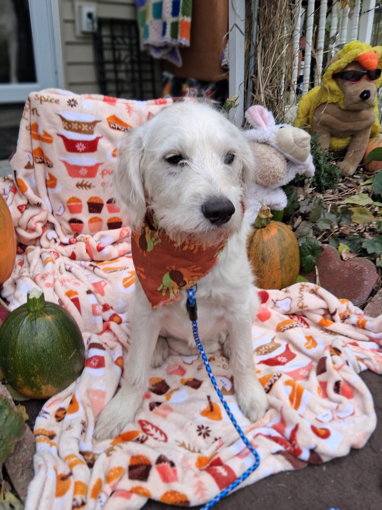 Winn [ ]  thumbnail 3