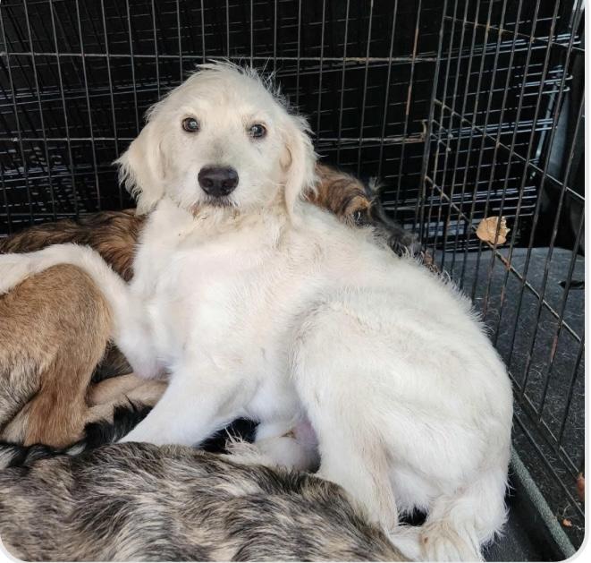 Winn [ ]  thumbnail 2