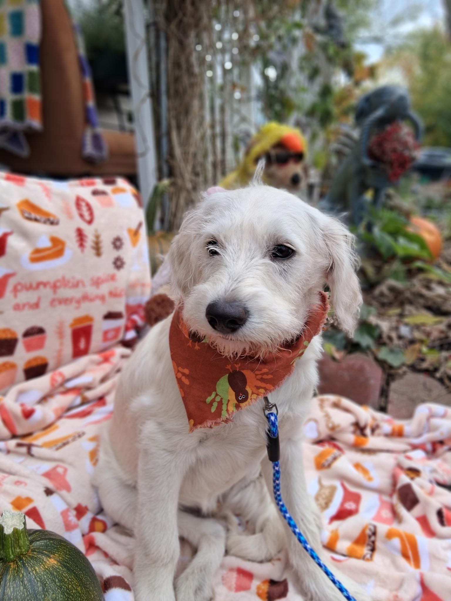 Winn [ ]  thumbnail 5