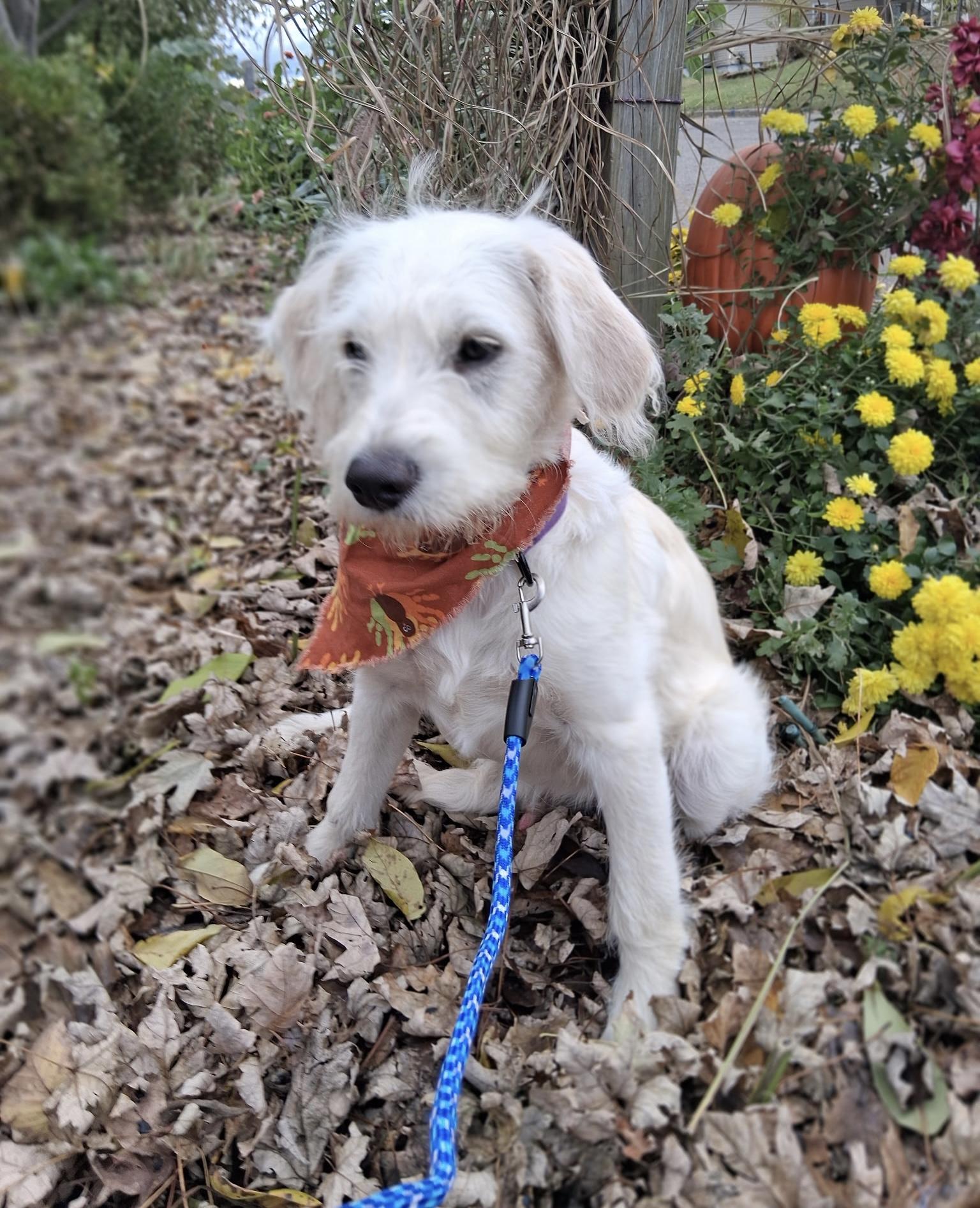 Winn [ ]  thumbnail 6