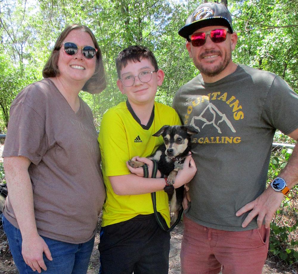 Enlarge Juniper, an adopted mixed breed in Camden, SC image 1/6