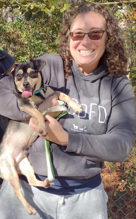 Enlarge Juniper, a ADOPTABLE mixed breed in Camden, SC image 5/6