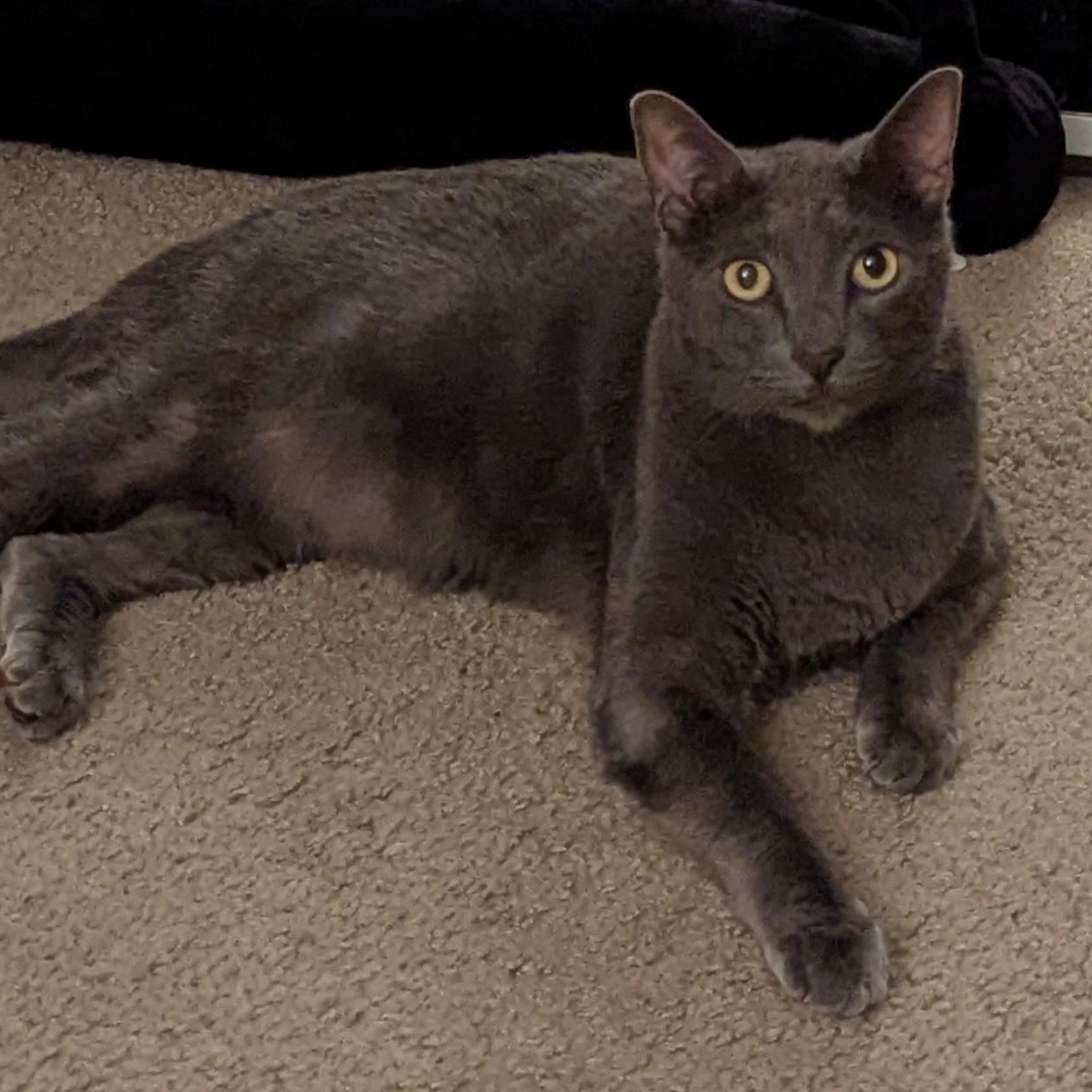 Adam- Curious and Playful
