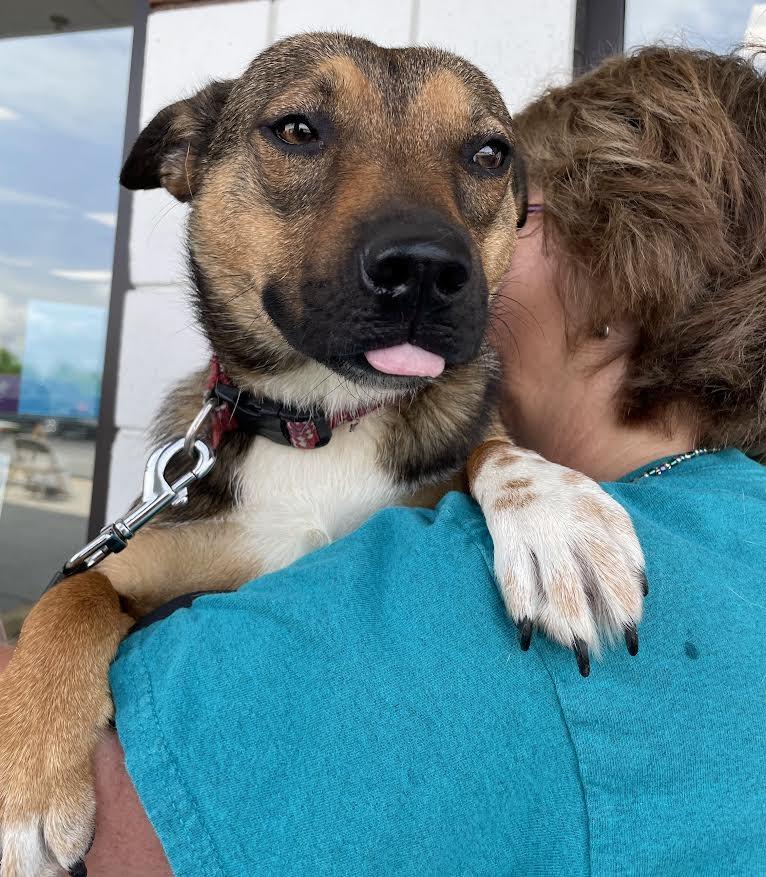 Enlarge Jasmine, a Adoptable mixed breed in Crossville, TN image 6/6