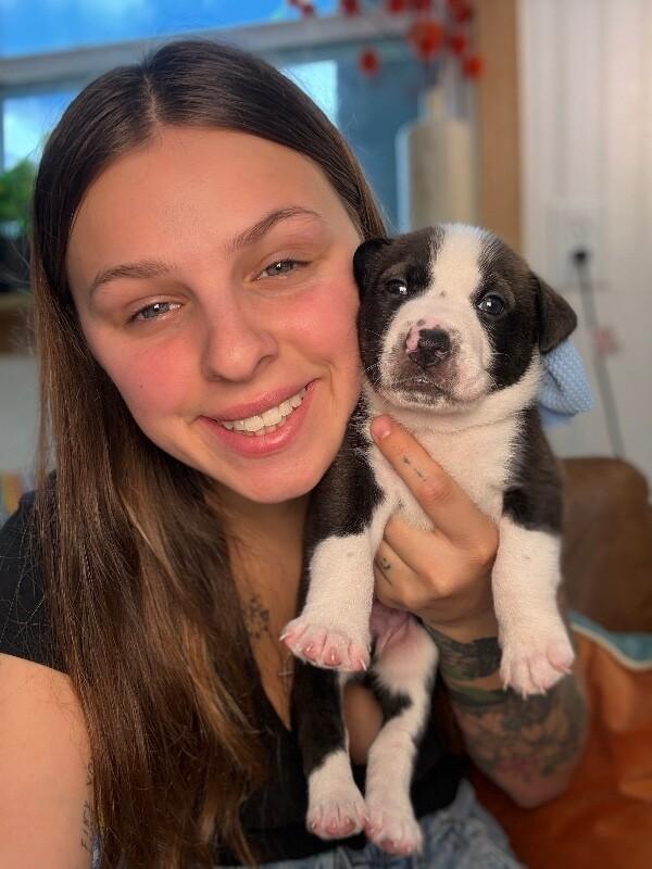 George Washington Bridge