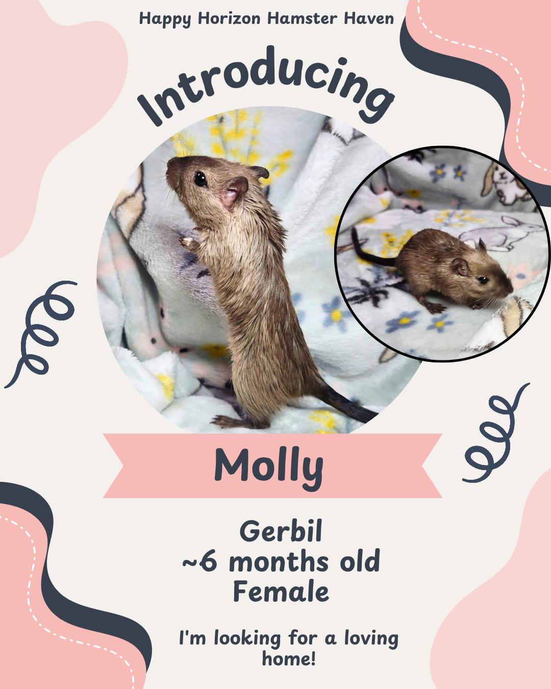 Molly