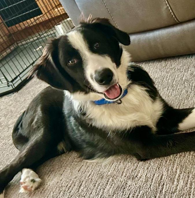 Max