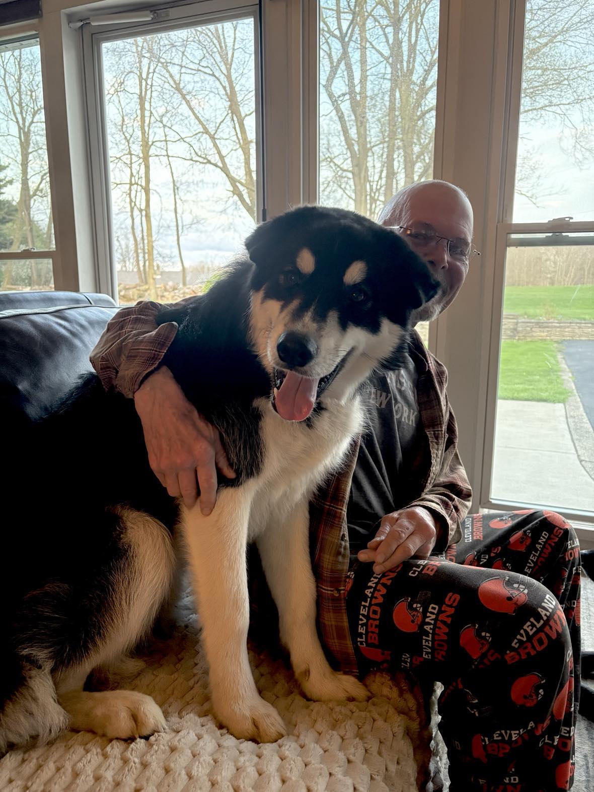 KOBE**, a Adopted mixed breed in McDonald, OH image 4/5