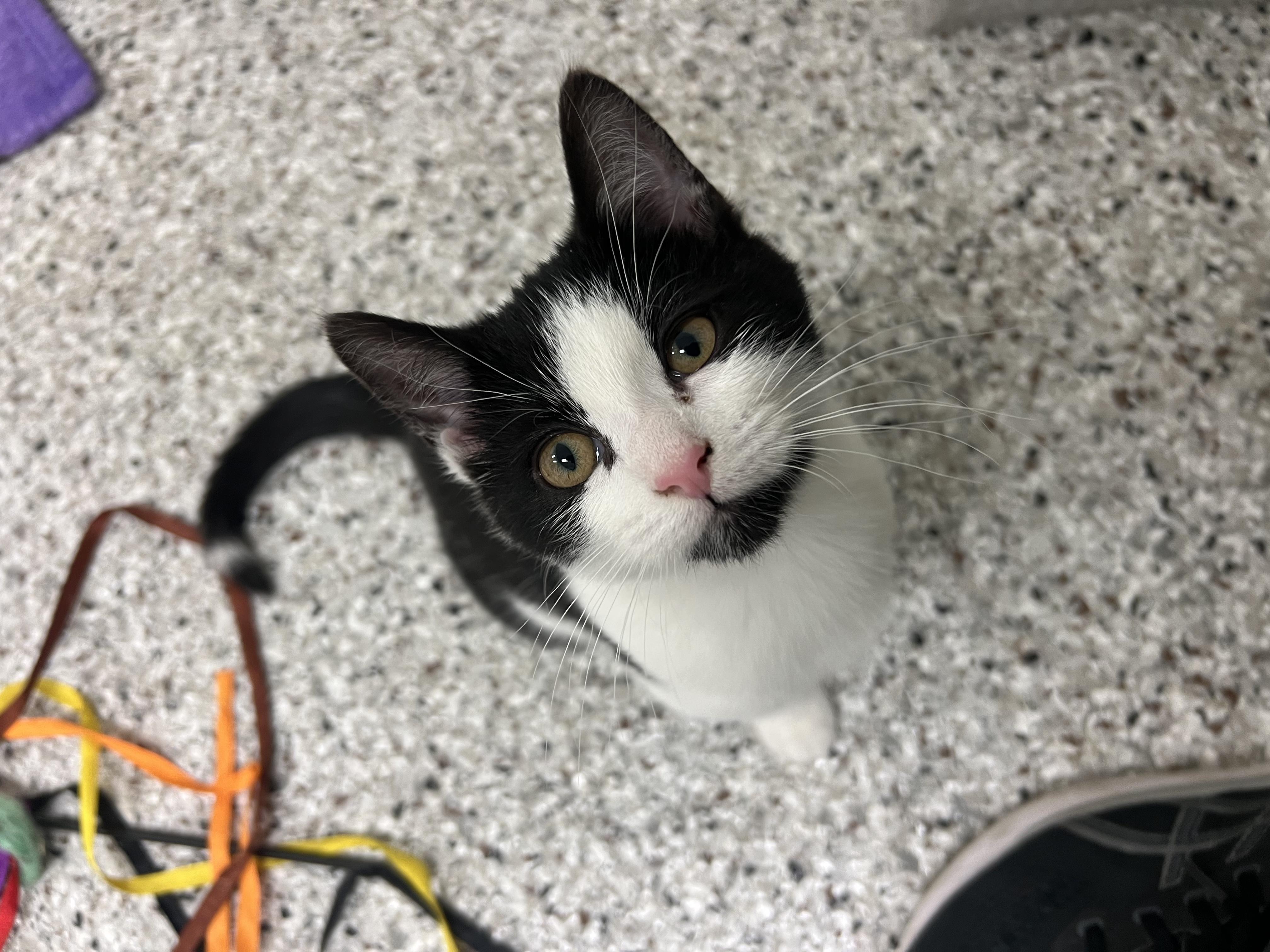 Lexington thumbnail 2