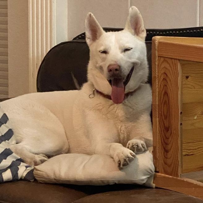 Salt — thumbnail 4