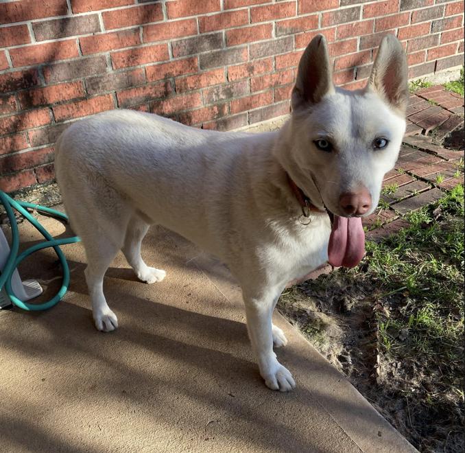 Salt — thumbnail 5