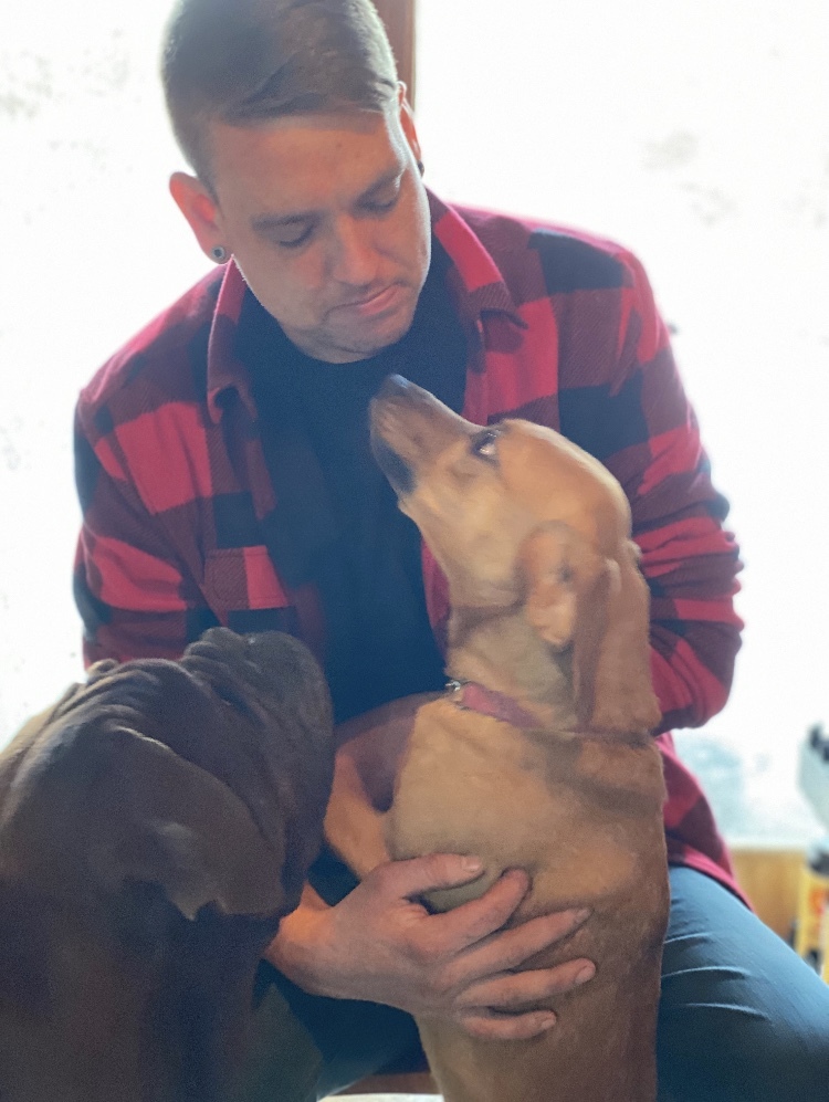 Pumpkin, a Adoptable mixed breed in Limekiln, PA image 1/8